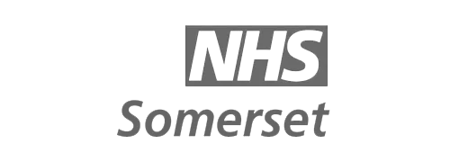NHS_Somerset_monochrome_60opacity7.png